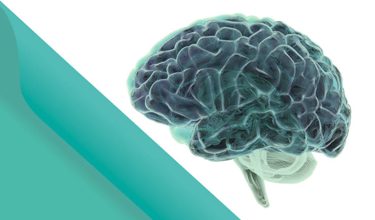 Typos in our DNA: Shaping genetic conditions 