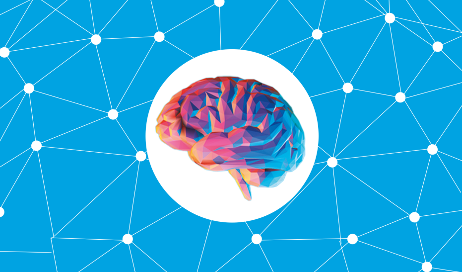 Brain Awareness: Napier