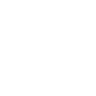 LI-icon